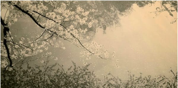 Miho Kajioka, BK0059, 2014