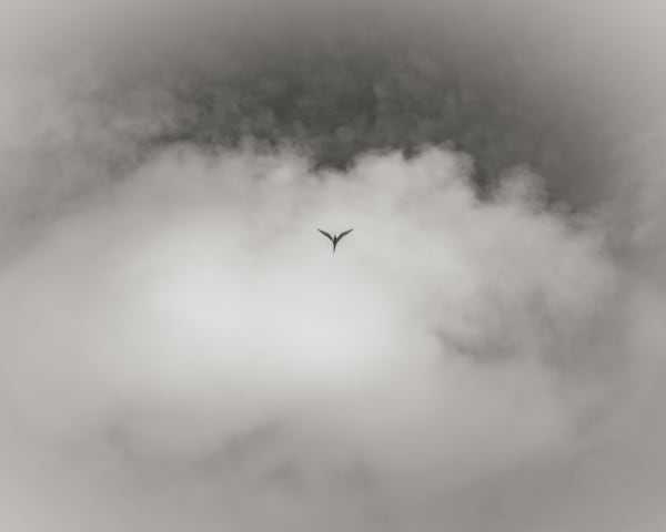 Jeffrey Conley, Flight, Iceland, 2017