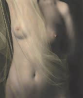 Brigitte Carnochan, Nude with Netting I, 1996