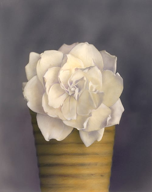 Brigitte Carnochan, Gardenia in Yellow Pot, 2000