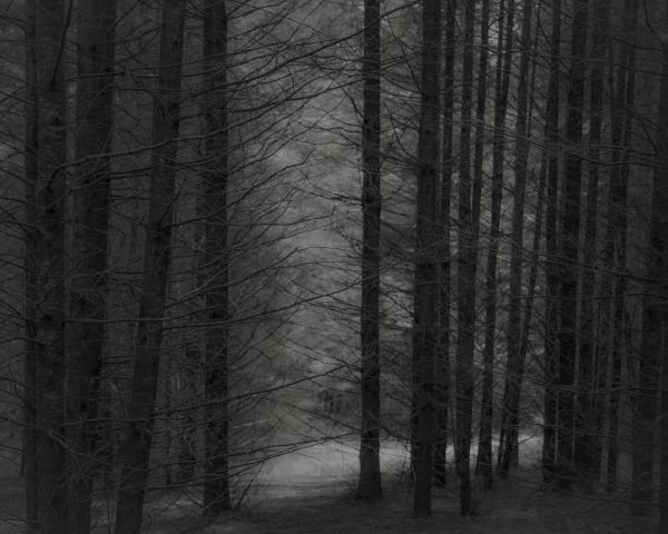 Jeffrey Conley, Oregon, Pre-dawn, 2020, Printed 2024