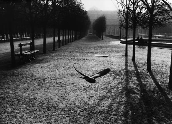 Edouard Boubat, Palais Royal, Paris, 1989/Printed Later