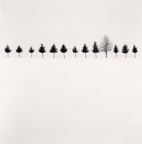Michael Kenna, Line of Trees, Hokkaido, Japan., 2012