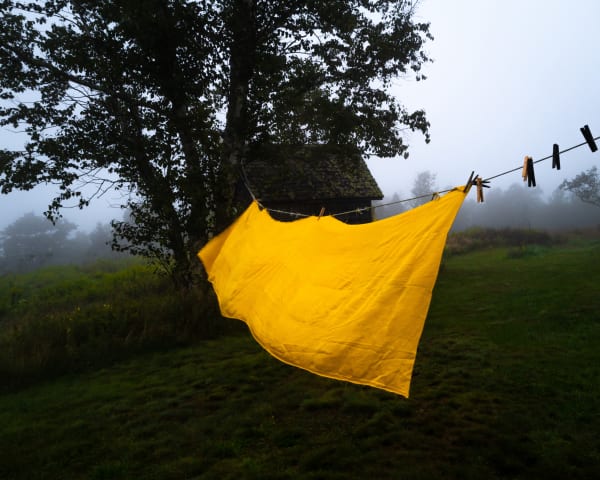 Cig Harvey, Yellow Table Cloth (Dawn), Eagle Island, Maine, 2021