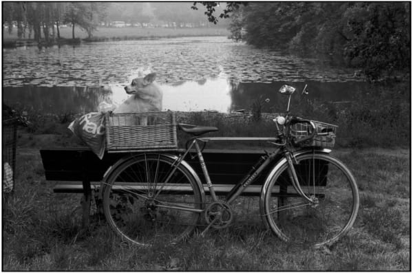 Martine Franck, Bois de Boulogne, Paris, France, 1979/ Printed 2005
