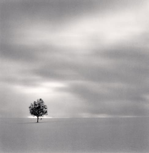 Michael Kenna, Twilight Tree, Higashi Kagura, Hokkaido, Japan., 2008