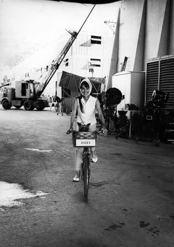 Bob Willoughby (United States, b. 1927-2009), Audrey Hepburn with her Dog "Assam" in the Basket of her Bicycle - Warner Bros Lot During the Filming of "My Fair Lady", 1963; Printed 9/9/15