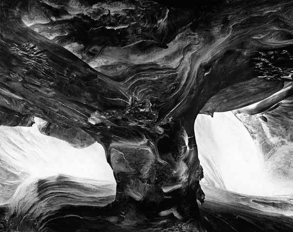 Wynn Bullock, Tree Trunk, 1971 (Vintage)