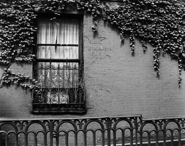 Brett Weston, Washington Square, NYC, 1945 (Printed 1951)