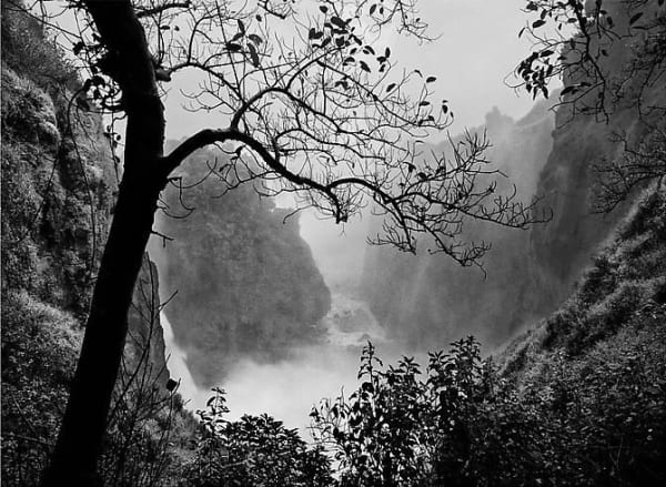 Sebastião Salgado, Victoria Falls with Tree, Zimbabwe, 2008