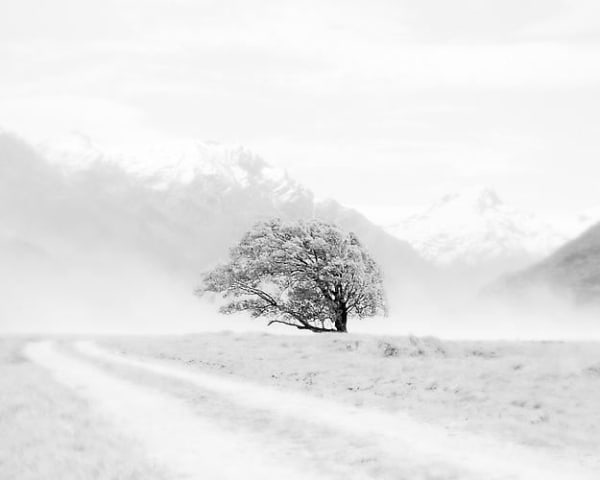Jeffrey Conley, Tree and Dust Storm, NZ, 2011, printed 2013
