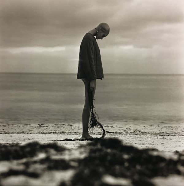Melvin Sokolsky, Nenna Seaweed, 1959, printed later