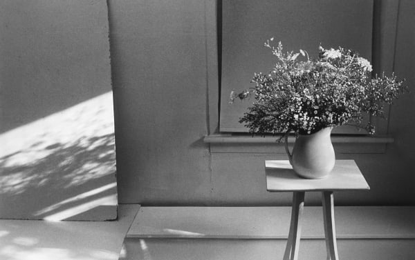 Lilo Raymond, Flower and Pitcher, 1992