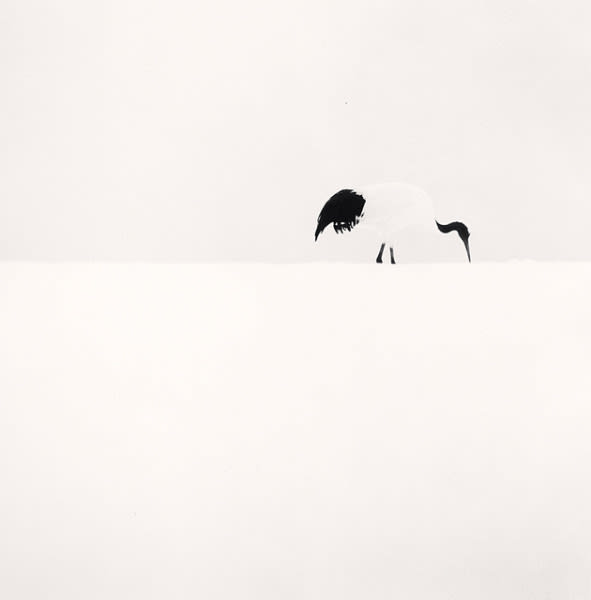 Michael Kenna, Red Crown Crane Feeding, Tsuru, Hokkaido, Japan, 2005