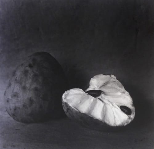 Flor Garduño, Chirimoyas, Mexico, 2004