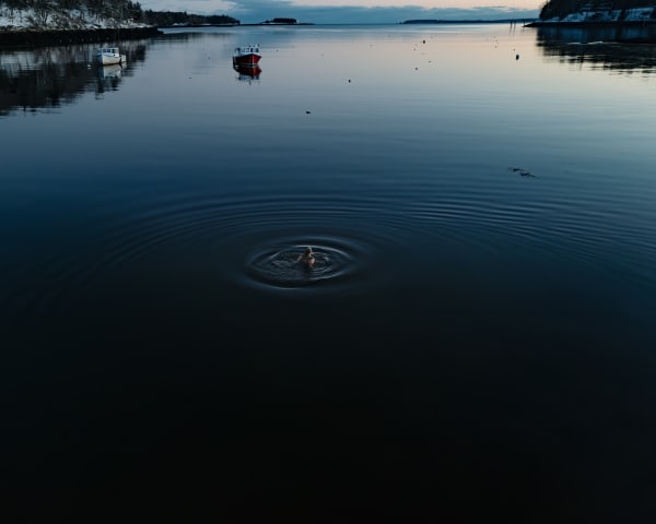 Cig Harvey, Rockport Harbor (January), 2023