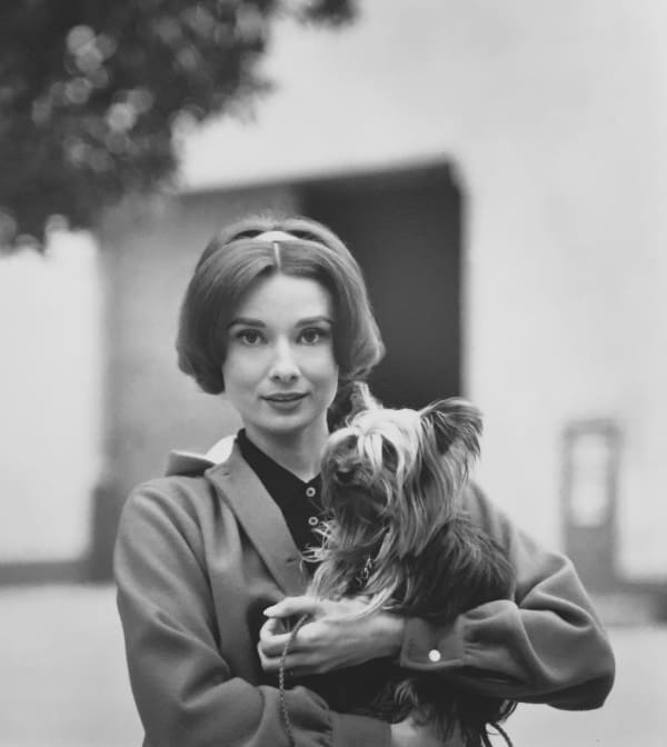 Sid Avery, Audrey Hepburn with her dog "Famous at Paramount Studios, Los Angeles, CA, 1957/Printed Later