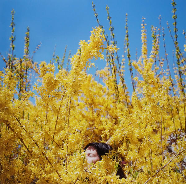 Cig Harvey, Claire in the Forsythia, Rockport, Maine, 2010