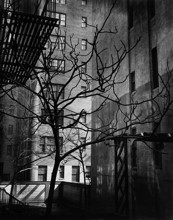 Brett Weston, Manhattan Courtyard, 1945 ( Printed 1951)
