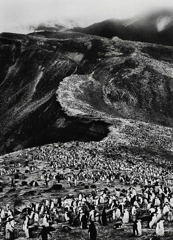 Sebastião Salgado, Bailey Head, Deception Island, Antarctic Peninsula, 2005