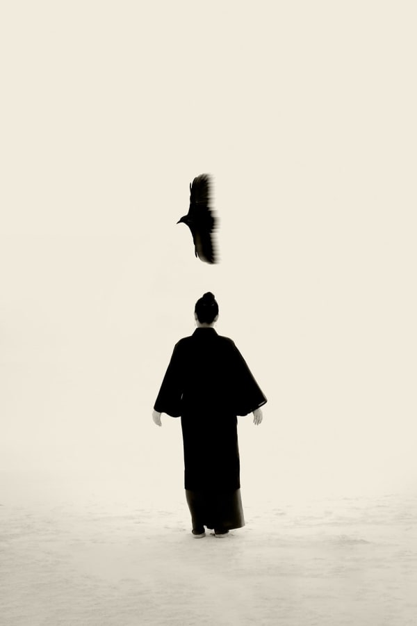 Paul Cupido, Nanae Bird of Prey, 2023