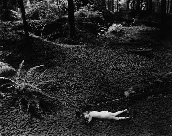 Wynn Bullock, Child in Forest, 1951 (Printed before 1965)