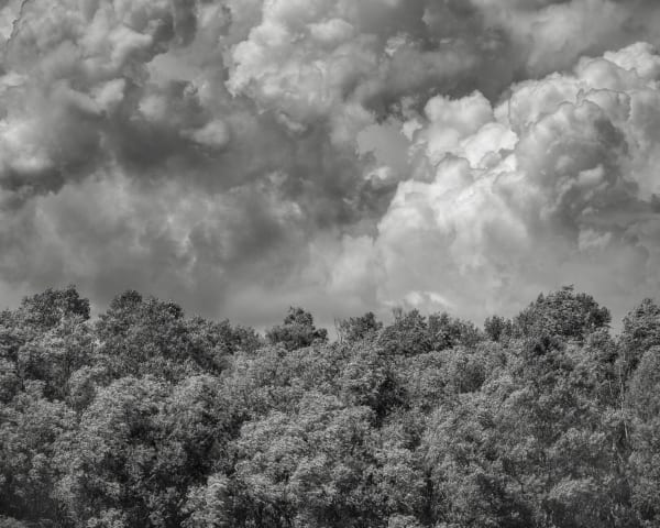 Jeffrey Conley, Wind Blown Trees and Clouds, France, 2023, Printed 2024