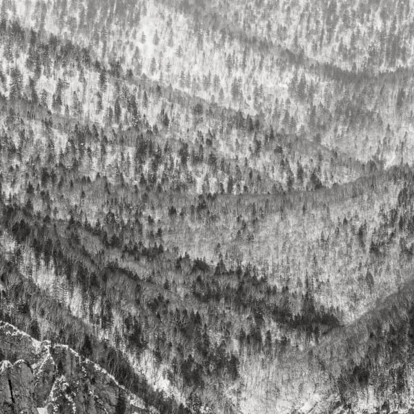 Jeffrey Conley, Folded Hills, Japan, 2025