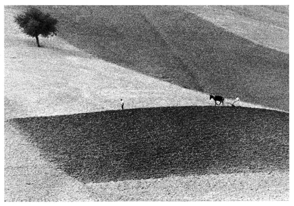 Gianni Berengo Gardin, Tuscany, 1958 (Printed 2023)