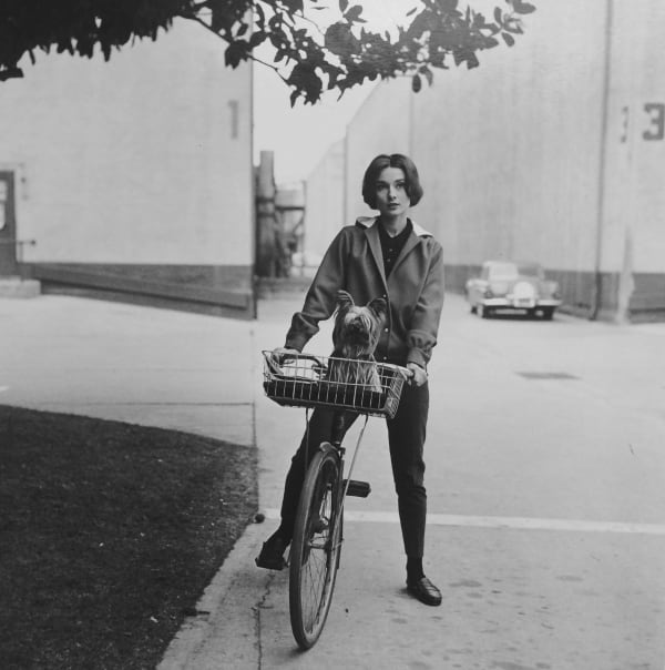 Sid Avery, Audrey Hepburn on her bike with her dog "Famous" at Paramount Studios, Los Angeles, CA, 1957