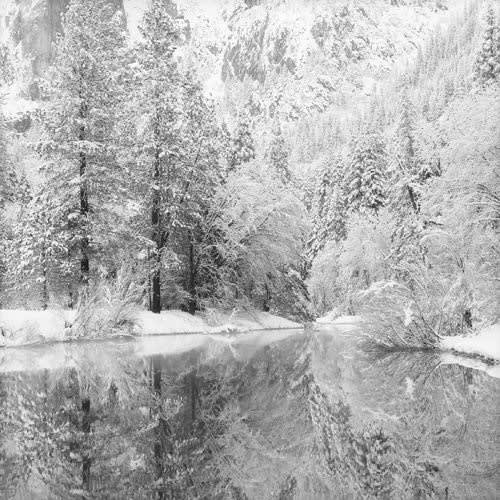 Jeffrey Conley, Snow Covered Reflections, 2005/ Printed 2011