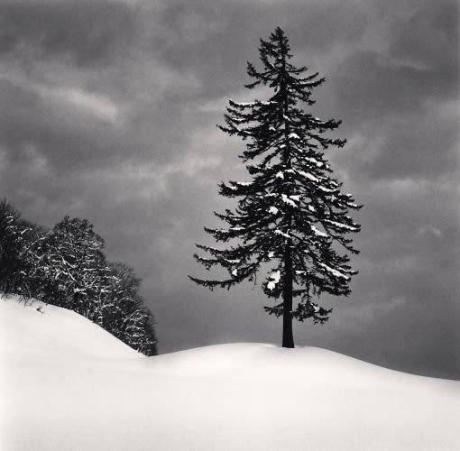 Michael Kenna, Spruce Tree and Snow Clouds, Esashi, Hokkaido, Japan., 2023