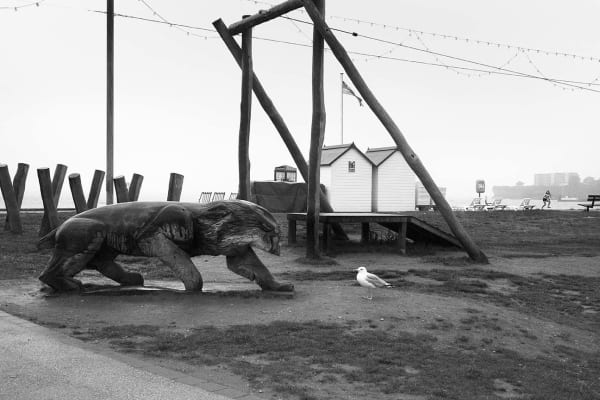 Roger A. Deakins, The Stand off, Paignton, 2015