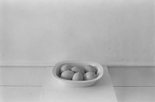 Lilo Raymond, Lemons, 1976