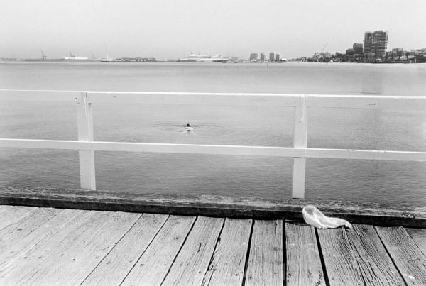 Roger A. Deakins, The Lone Swimmer, Melbourne, 2003