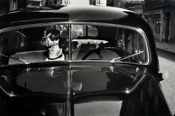 Elliott Erwitt, Paris, France, 1951