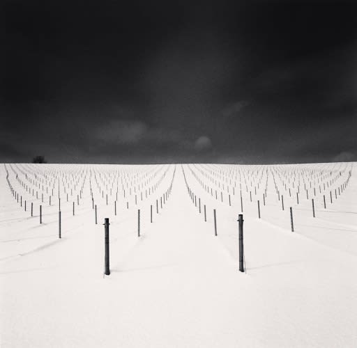 Michael Kenna, Field of Sticks, Kamikawa, Hokkaido, Japan., 2023
