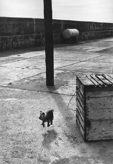 Elliott Erwitt, Ballycotton, Eire, 1968