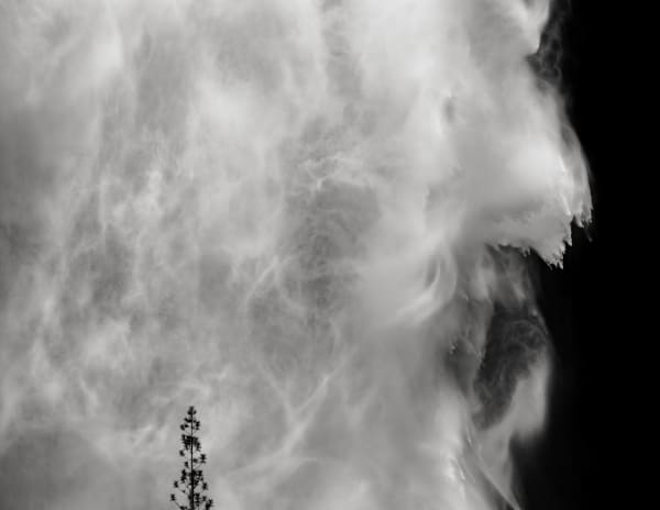 Jeffrey Conley, Tree and Waterfall, Yosemite, California, 2019, Printed 2024