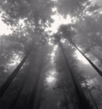 Michael Kenna, Morning Mist, Ikeda, Shikoku, Japan., 2003