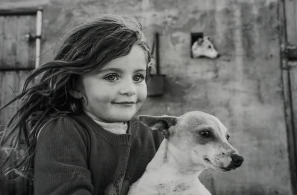 Jamie Johnson, Philomena, 2019