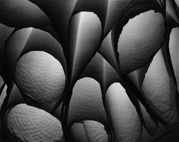 Ryan McIntosh, Abstraction, Tucson, AZ