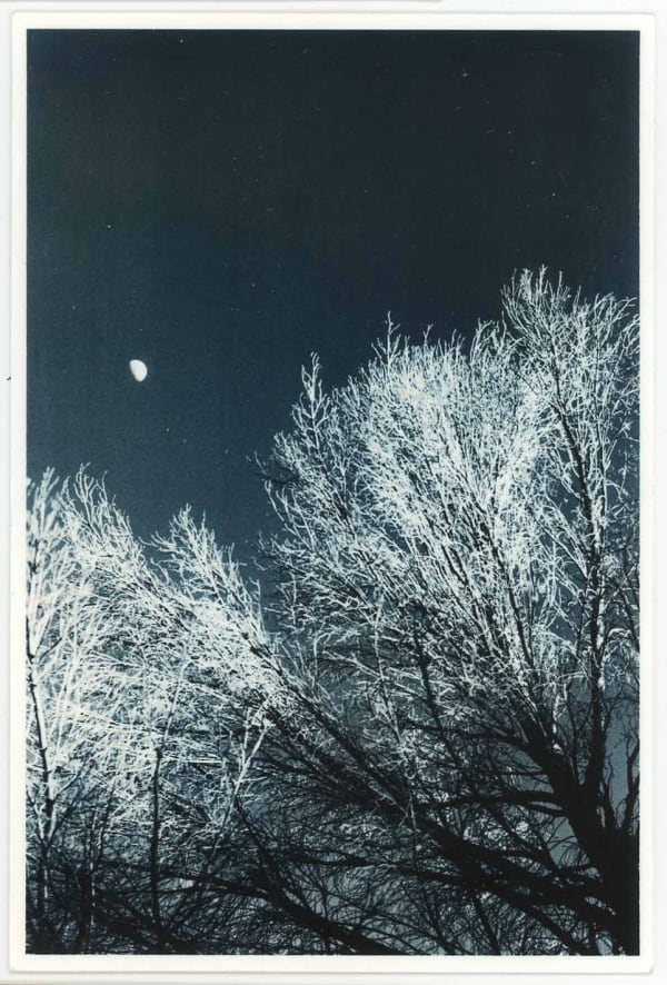 Ernesto Esquer, Moon and Trees, 2014 (Printed 2018)
