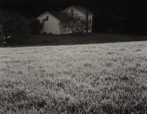 John Szarkowski (United States, b. 1925-2007), Yellow Russet, 1997