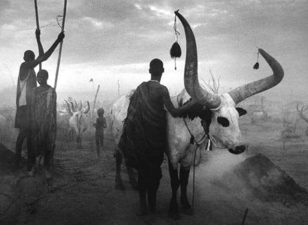 Sebastião Salgado, Dinka group at Pagarau cattle camp, Southern Sudan, Africa, 2006/Printed 2009
