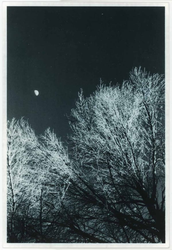 Ernesto Esquer, Moon and Tree, 2014 (Printed 2018)
