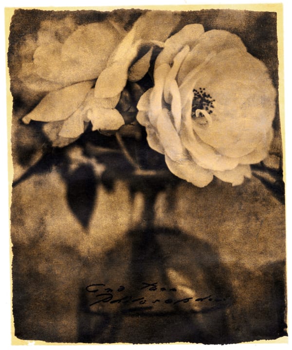 Brigitte Carnochan, And Turn Philosopher, 2018