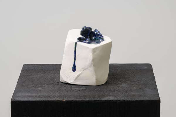 Grace Schwindt, Bird Shadow, 2022