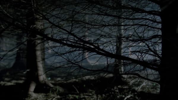 Willie Doherty, Buried, 2009