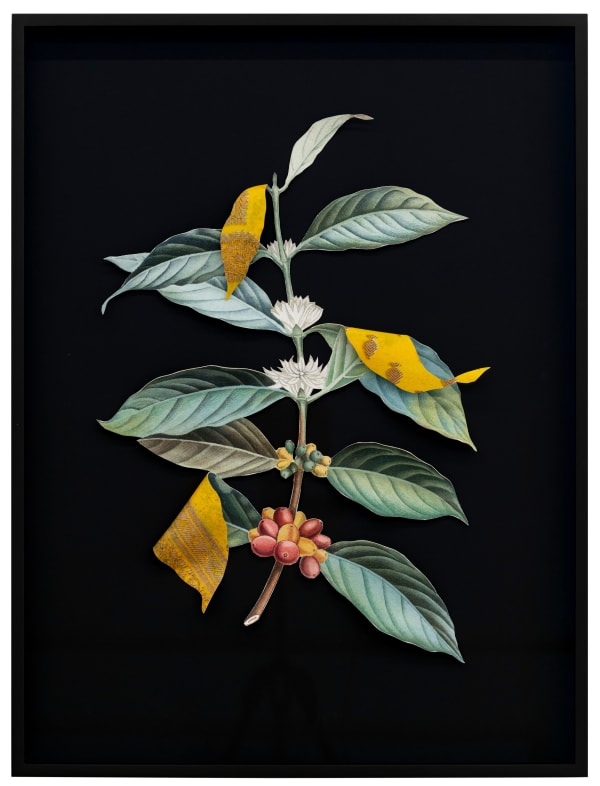 Ishita Chakraborty, Where The Wild Things Roam I, 2025